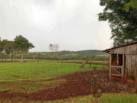 Fazenda no Boleto - Linha de Crédito Rural Fazendas - Cacoal - RO