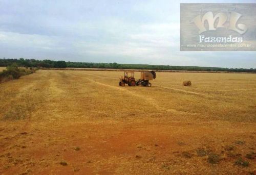 ML FAZENDAS - FAZ 148 Região de Dueré - TOcom 1.697,62 hect Ideal para produção de semente