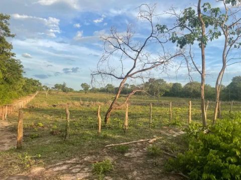 Fazenda em Timon do Maranhão