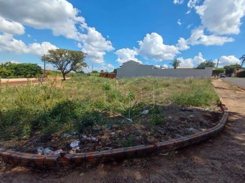 Terreno à venda, 1100 m² por R$ 600.000,00 - Jardim Conde Pinhal I - Jaú/SP