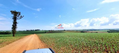 PROPRIEDADE RURAL - DISTRITO DE MANDIJUBA - ENGENHEIRO BELTRÃO/PR