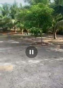 Vende-se uma casa com terreno