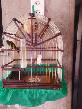 Gaiola