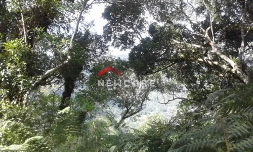 Lote em Rua Jasmim - Colinas - São Francisco de Paula/RS