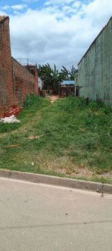 Lote 5x25 a venda