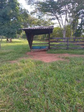 Colônia em senador Guiomard 