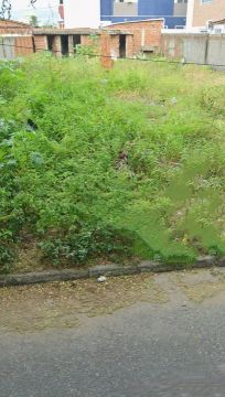Terreno 12 por 30