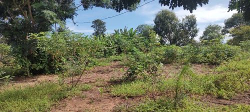 Vendo chácara sítio fazenda 