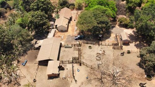 Fazenda a venda