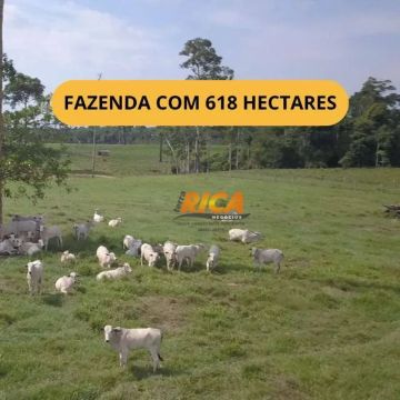 Vende-se Excelente Fazenda no Distrito de Extrema - Porto Velho/RO