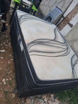 Cama 