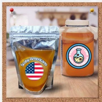  Scoby Americano Tam:7cm de diâmetro 