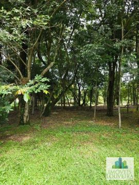 Terreno à venda, 800 m² por R$ 790.000 - Condomínio Reserva dos Vinhedos - Louveira/SP