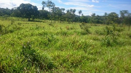  Chácara  plana de 1800M² na serra do Cipo! *.