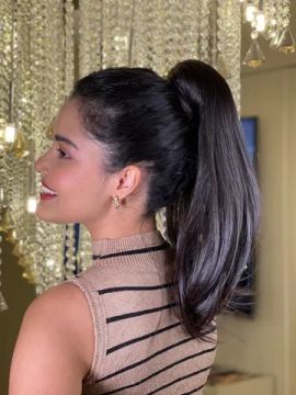 Rabo de cavalo cabelo humano.