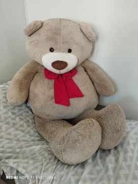 Urso de Pelúcia Gigante
