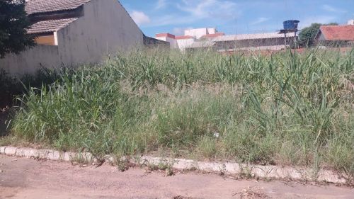 LOTE BURITIS 1
