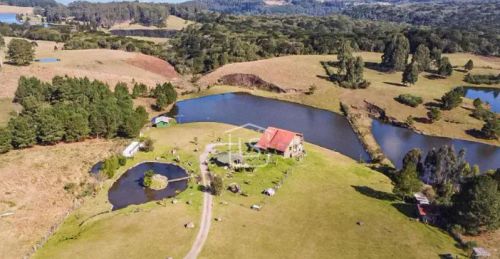 Imóvel para venda possui 29600 metros quadrados com 3 quartos em Rancho Jane - Canela - RS