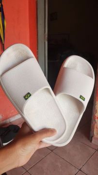 Sandália havaianas 