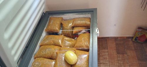 Polpa de Maracujá congelada - Produção Rural