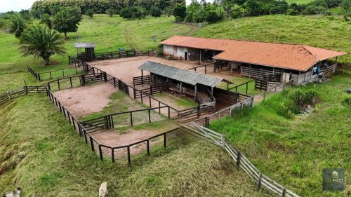 Fazenda Produtiva à Venda  65 Alqueires em Parecis RO, Terra Roxa, Infraestrutura Com...