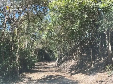 Fazenda à venda, 93,97 ha - Zona Rural - Px Divinópolis e Itaúna