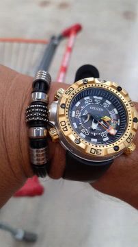 New aqualand customizado 