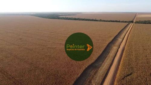 Fazenda com 1 dormitório à venda,  m² por R$ 225.000.000,00 - Zona Rural - Nova Ubiratã/MT