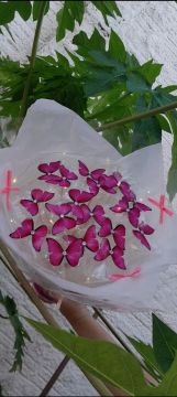 Buquê de Borboletas 