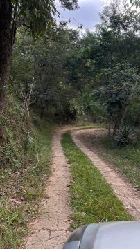 Sítio dos Sonhos - 6 Hectares com Lago e Nascente