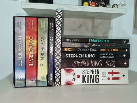 Lote de Livros 