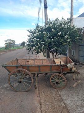 Carroça antiga