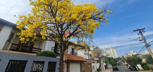 Casa em Rua Rafael Saglioni - Parque das Flores - Campinas/SP