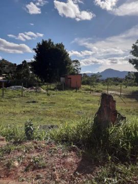 Venda Commercial / Land Lot Congonhas MG