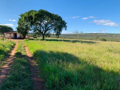 Fazenda em Morro do Chapeu 