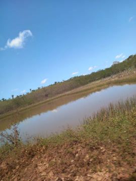 Fazenda em Cantanhede MA