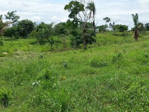 Vendo um Colônia de 10 hectares 