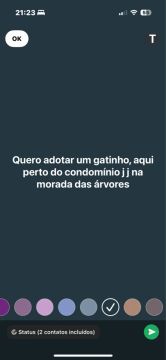Gatinho para adoção