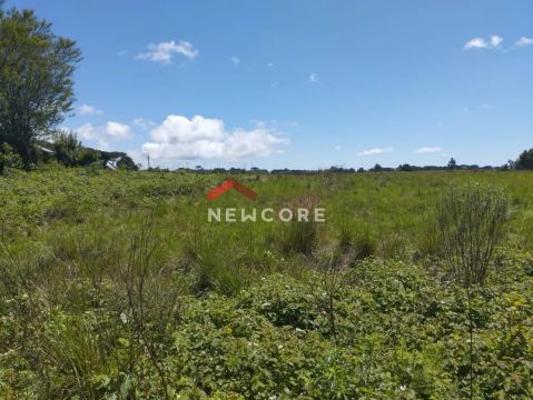 Lote em Rua Bracatinga - Colinas - São Francisco de Paula/RS