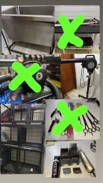 Kit Completo para Cuidar do seu Pet! E Abrir seu Próprio Negócio!