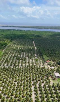 Área  Produtiva à Venda  Iguaíba - Paço do Lumiar/MA