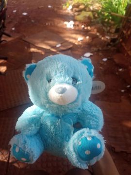 Urso azul 