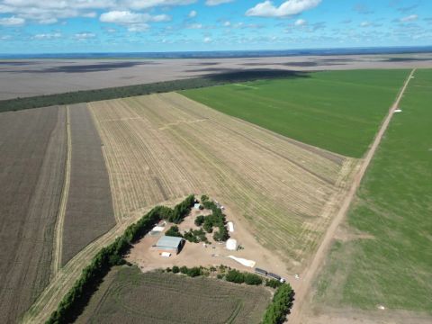 Vende-se Fazenda 300 Hectares 
