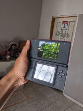 Nintendo ds lite 