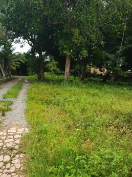 Alugo Terreno com 1.600m² no Aleixo - R$ 10.000,00