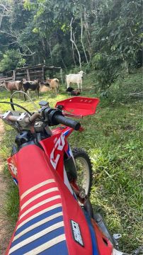 CRF 230F - Moto top