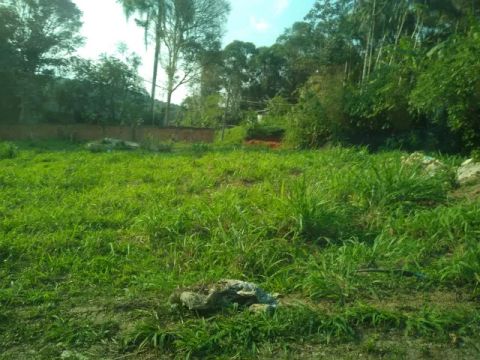 Terreno no bairro batel antonina