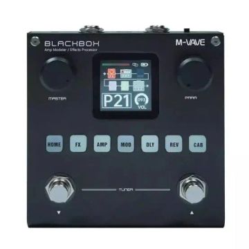 Blackbox M-Wave Amp Modeler/Effects Processor