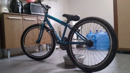 Bicicleta 