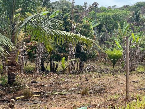 Terreno com Área Verde em Local Tranquilo